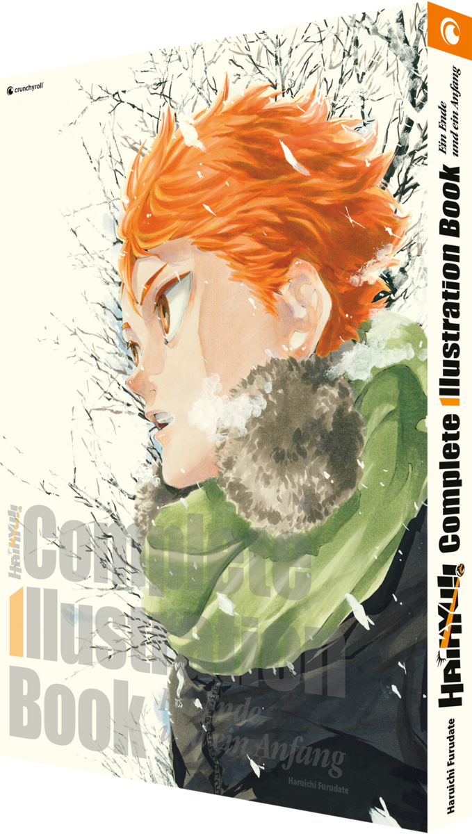 Haikyu!! Complete Illustration Book – Ein Ende und ein Anfang