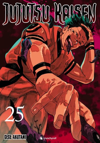 Jujutsu Kaisen Band 25
