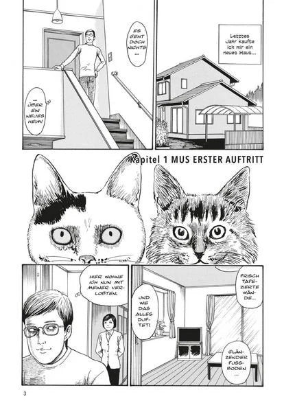 Junji Itos Katzentagebuch