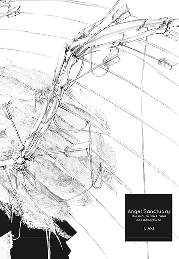 Angel Sanctuary Pearls Band 05