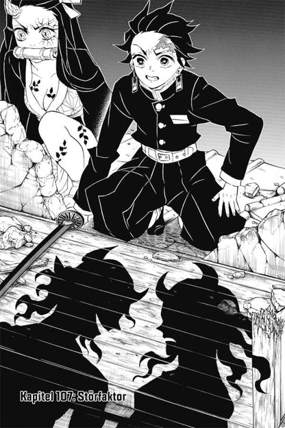 Demon Slayer - Kimetsu no Yaiba Band 13