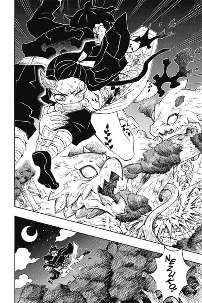 Demon Slayer - Kimetsu no Yaiba Band 14