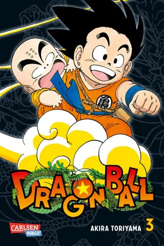 Dragon Ball Massiv - Band 03