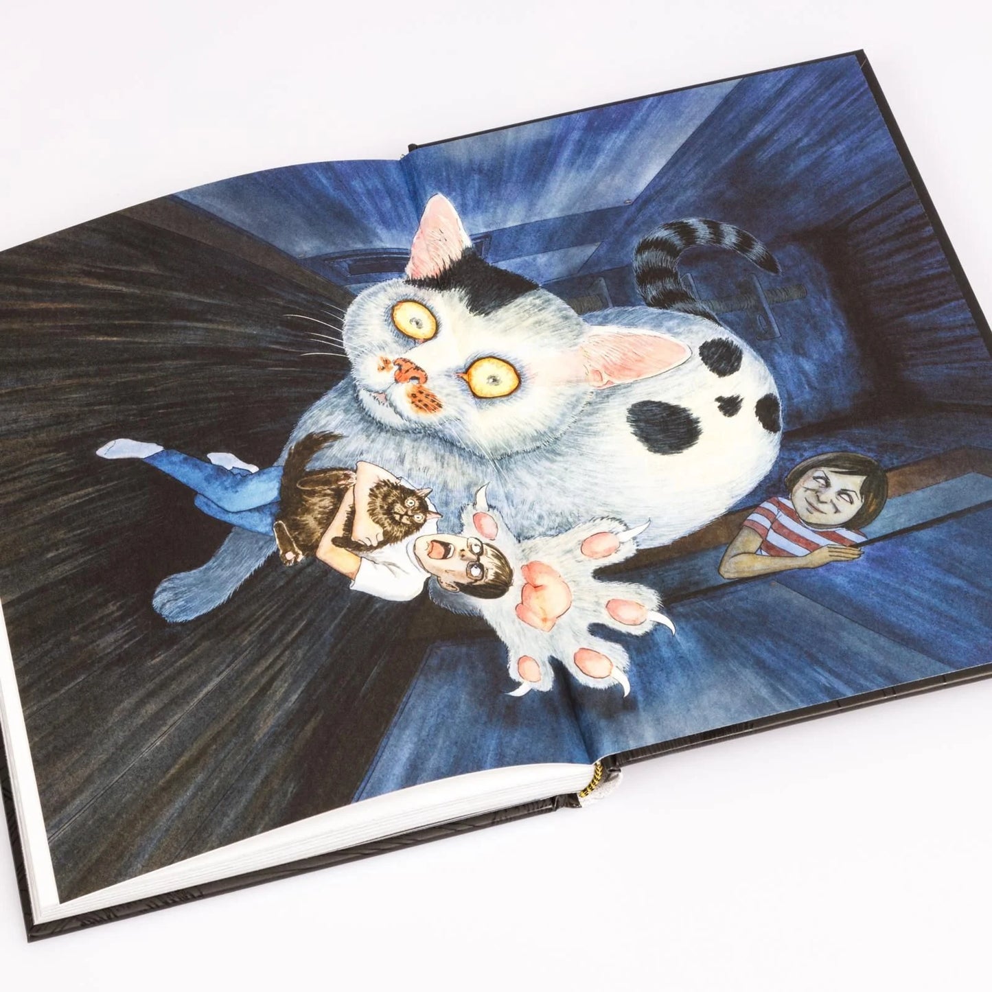 Junji Itos Katzentagebuch